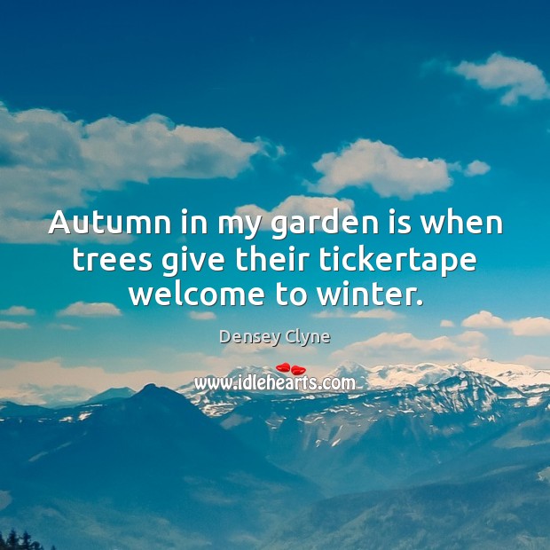 Autumn in my garden is when trees give their tickertape welcome to winter. Densey Clyne Picture Quote