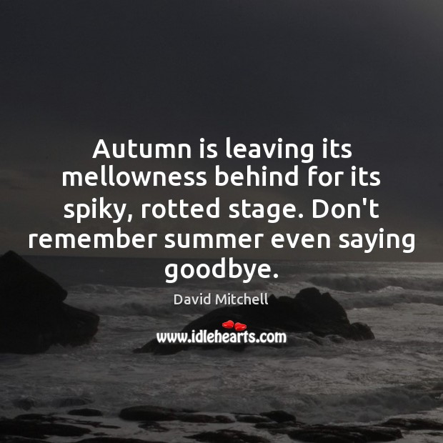 Autumn is leaving its mellowness behind for its spiky, rotted stage. Don’t Image