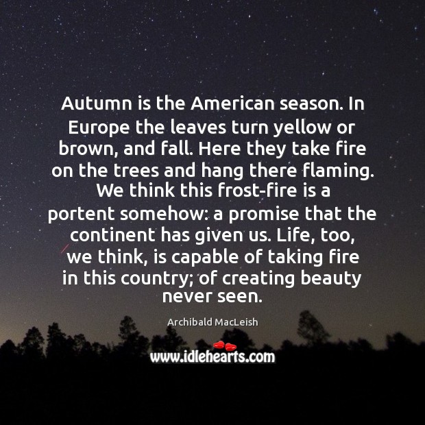 Autumn is the American season. In Europe the leaves turn yellow or Archibald MacLeish Picture Quote