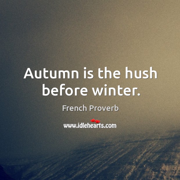 Autumn is the hush before winter. Image