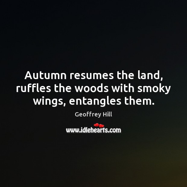 Autumn resumes the land, ruffles the woods with smoky wings, entangles them. Image