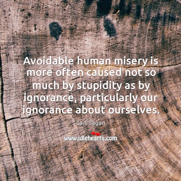 Avoidable human misery is more often caused not so much by stupidity Carl Sagan Picture Quote