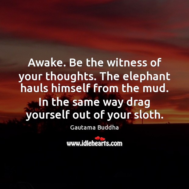 Awake. Be the witness of your thoughts. The elephant hauls himself from Gautama Buddha Picture Quote