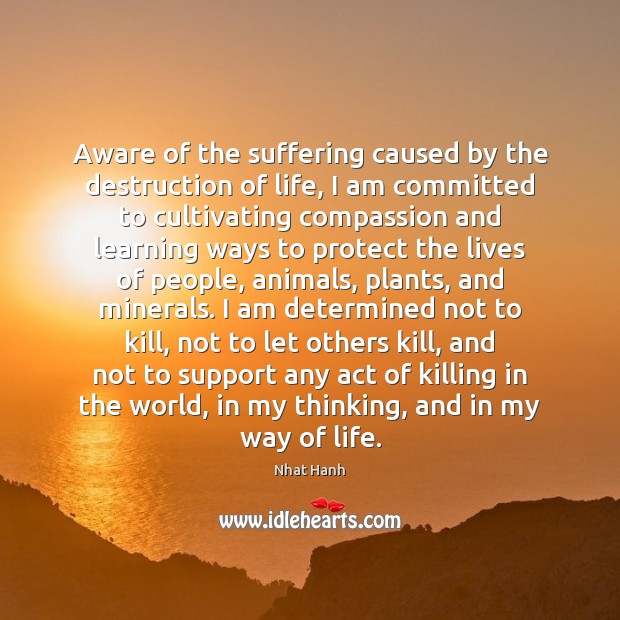 Aware of the suffering caused by the destruction of life, I am Nhat Hanh Picture Quote