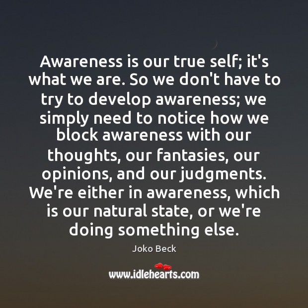 Awareness is our true self; it’s what we are. So we don’t Joko Beck Picture Quote
