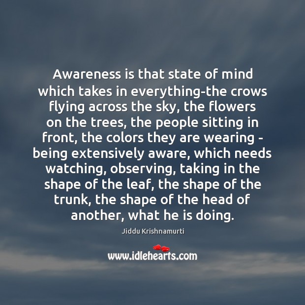 Awareness is that state of mind which takes in everything-the crows flying Jiddu Krishnamurti Picture Quote