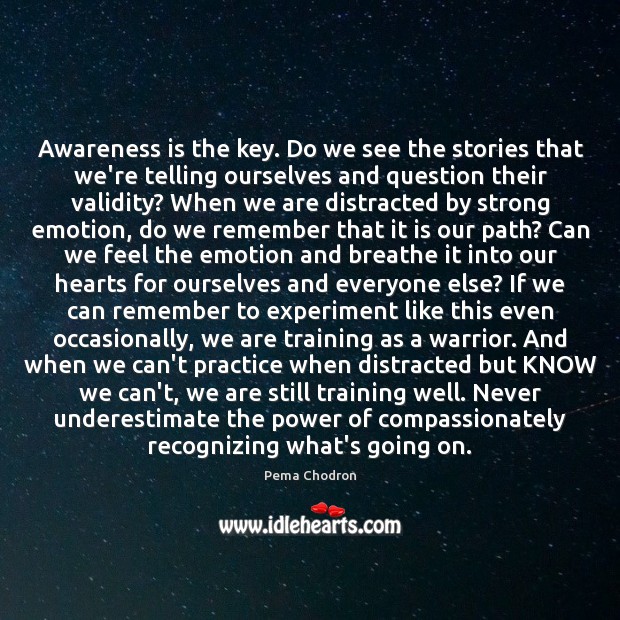Awareness is the key. Do we see the stories that we’re telling Underestimate Quotes Image