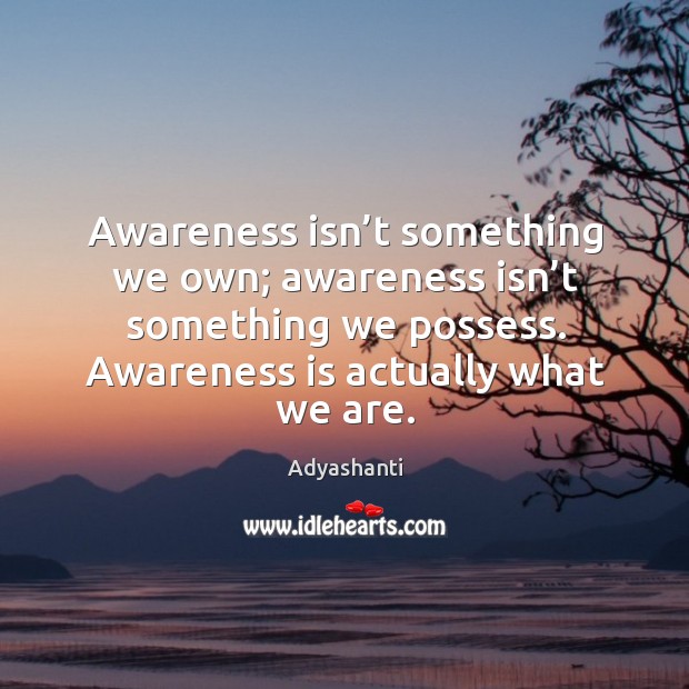 Awareness isn’t something we own; awareness isn’t something we possess. Image