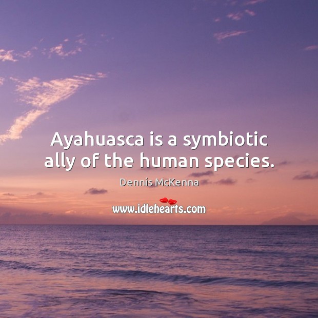 Ayahuasca is a symbiotic ally of the human species. Dennis McKenna Picture Quote