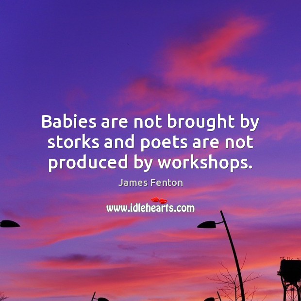 Babies are not brought by storks and poets are not produced by workshops. James Fenton Picture Quote