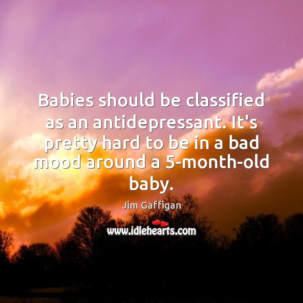 Babies should be classified as an antidepressant. It’s pretty hard to be Jim Gaffigan Picture Quote