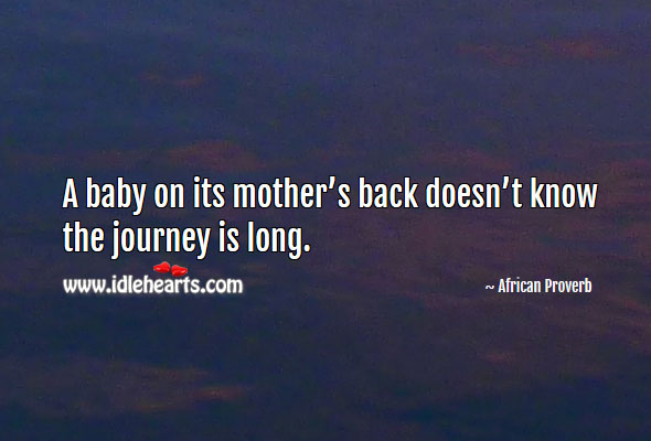A baby on its mother’s back doesn’t know the journey is long. Image