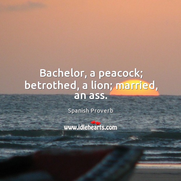 Bachelor, a peacock; betrothed, a lion; married, an ass. Spanish Proverbs Image
