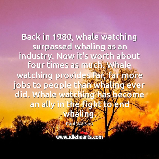 Back in 1980, whale watching surpassed whaling as an industry. Now it’s worth Paul Watson Picture Quote