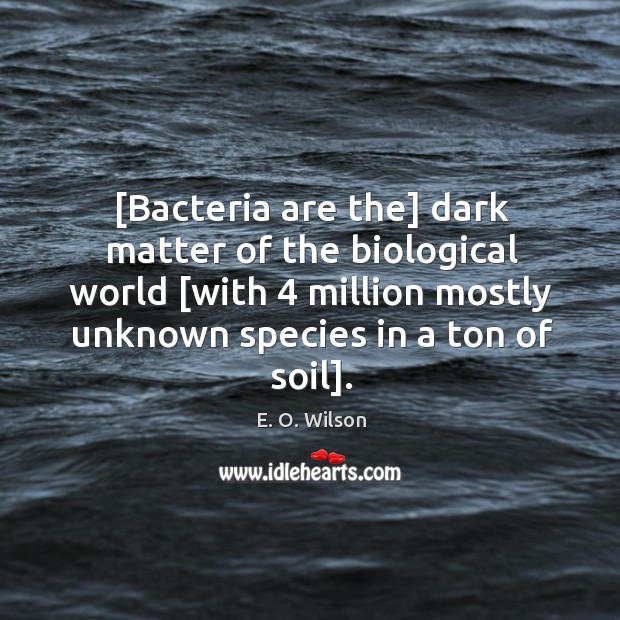 [Bacteria are the] dark matter of the biological world [with 4 million mostly Image