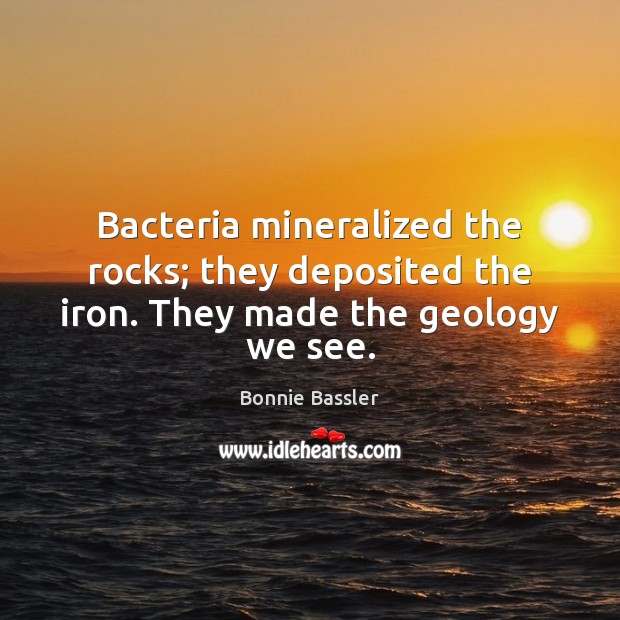 Bacteria mineralized the rocks; they deposited the iron. They made the geology we see. Bonnie Bassler Picture Quote