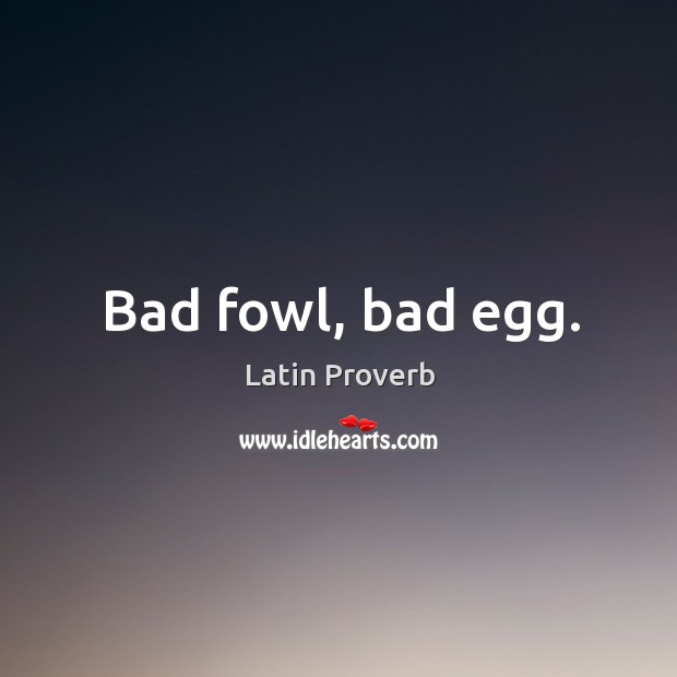 Bad fowl, bad egg. Latin Proverbs Image