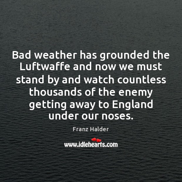 Bad weather has grounded the Luftwaffe and now we must stand by Franz Halder Picture Quote
