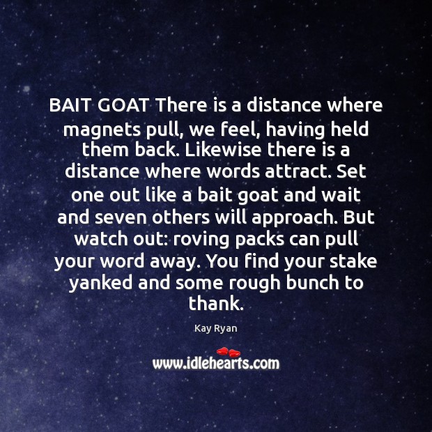 BAIT GOAT There is a distance where magnets pull, we feel, having Kay Ryan Picture Quote