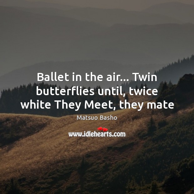 Ballet in the air… Twin butterflies until, twice white They Meet, they mate Image