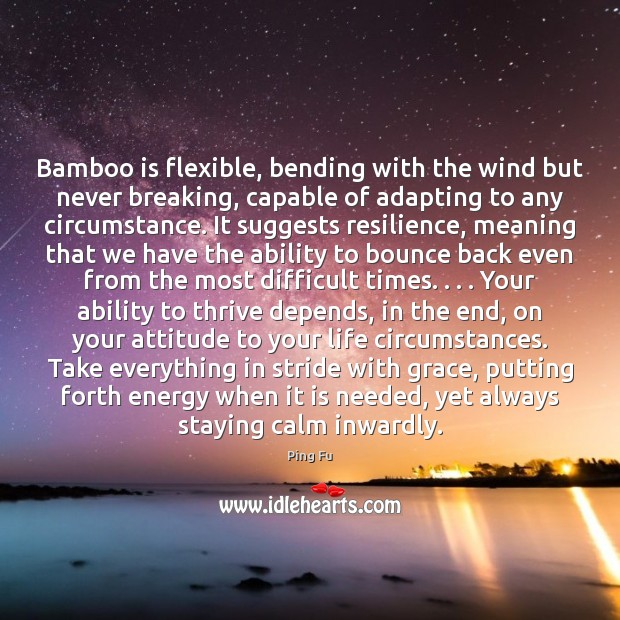 Bamboo is flexible, bending with the wind but never breaking, capable of Ability Quotes Image