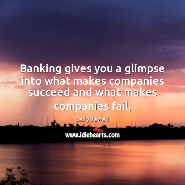 Banking gives you a glimpse into what makes companies succeed and what Sally Jewell Picture Quote