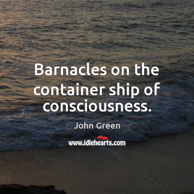 Barnacles on the container ship of consciousness. Image