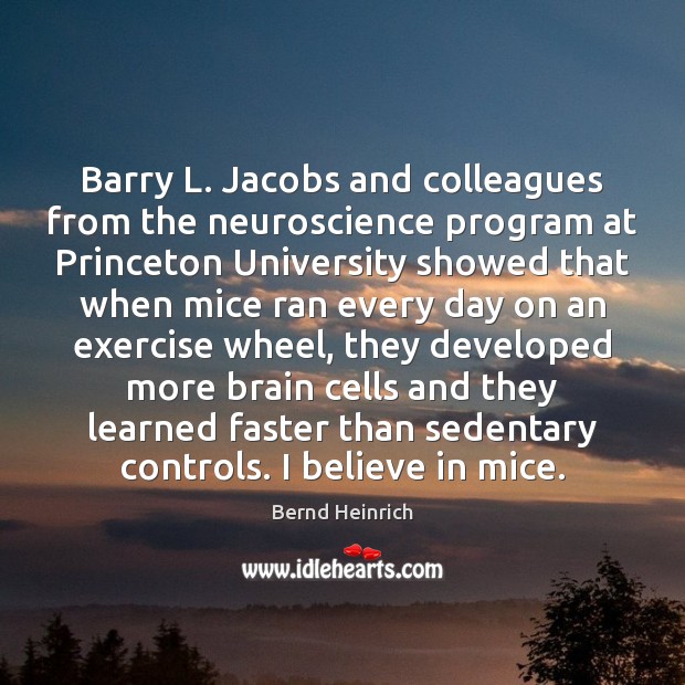 Barry L. Jacobs and colleagues from the neuroscience program at Princeton University Bernd Heinrich Picture Quote