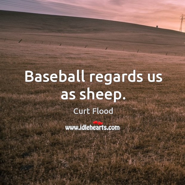 Baseball regards us as sheep. Curt Flood Picture Quote