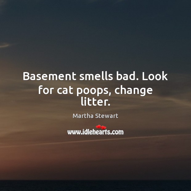 Basement smells bad. Look for cat poops, change litter. Martha Stewart Picture Quote