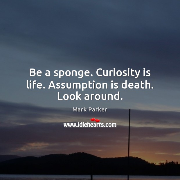 Be a sponge. Curiosity is life. Assumption is death. Look around. Image