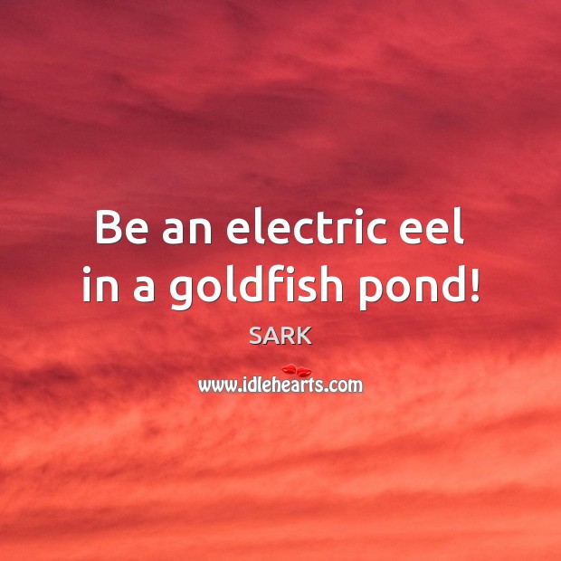 Be an electric eel in a goldfish pond! SARK Picture Quote