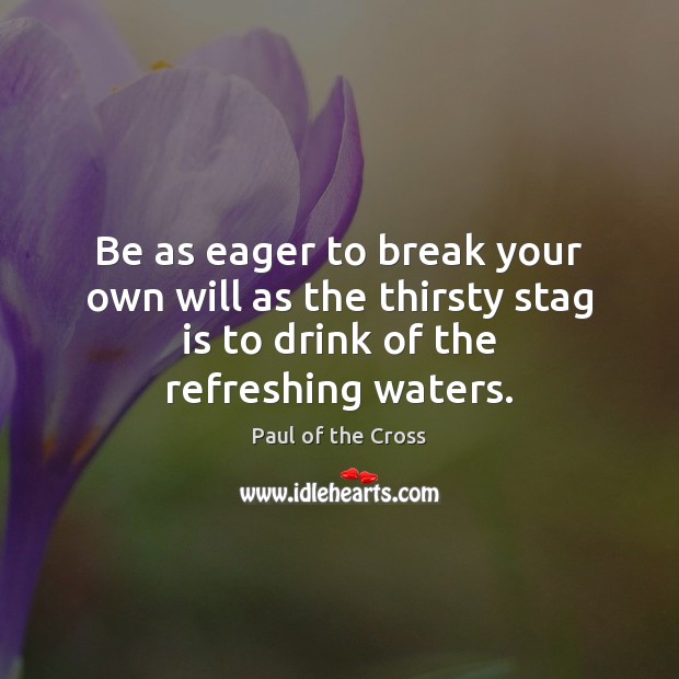 Be as eager to break your own will as the thirsty stag Paul of the Cross Picture Quote