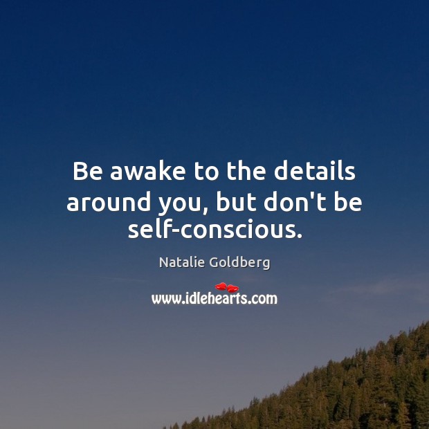 Be awake to the details around you, but don’t be self-conscious. Natalie Goldberg Picture Quote