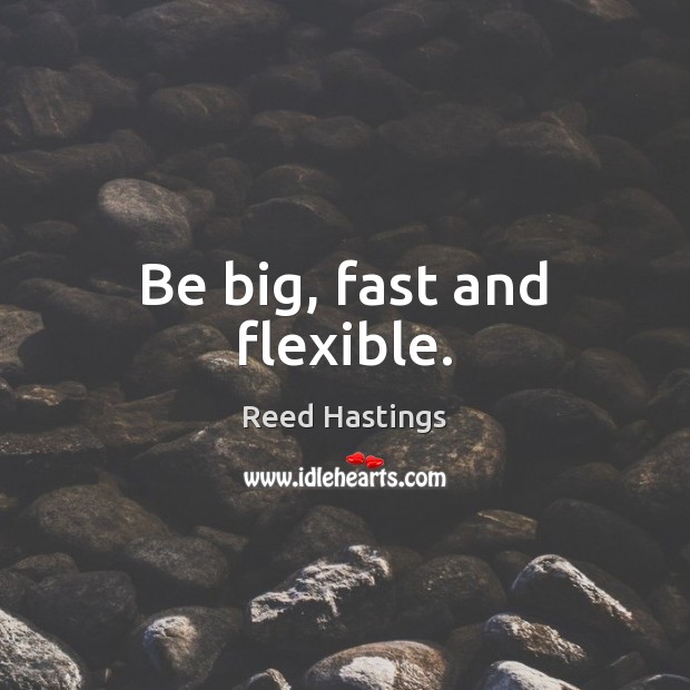 Be big, fast and flexible. Reed Hastings Picture Quote