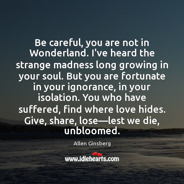 Be careful, you are not in Wonderland. I’ve heard the strange madness Allen Ginsberg Picture Quote