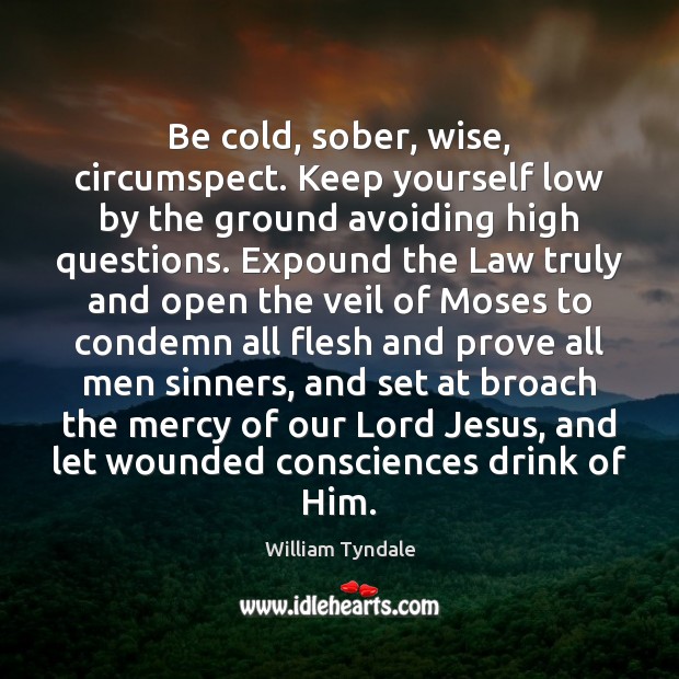 Be cold, sober, wise, circumspect. Keep yourself low by the ground avoiding William Tyndale Picture Quote