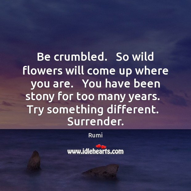 Be crumbled.   So wild flowers will come up where you are.   You Rumi Picture Quote