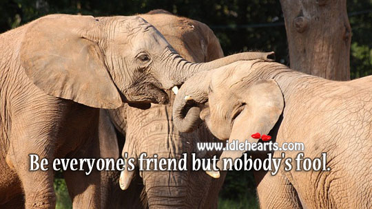 Be everyone’s friend but nobody’s fool. Inspirational Quotes Image