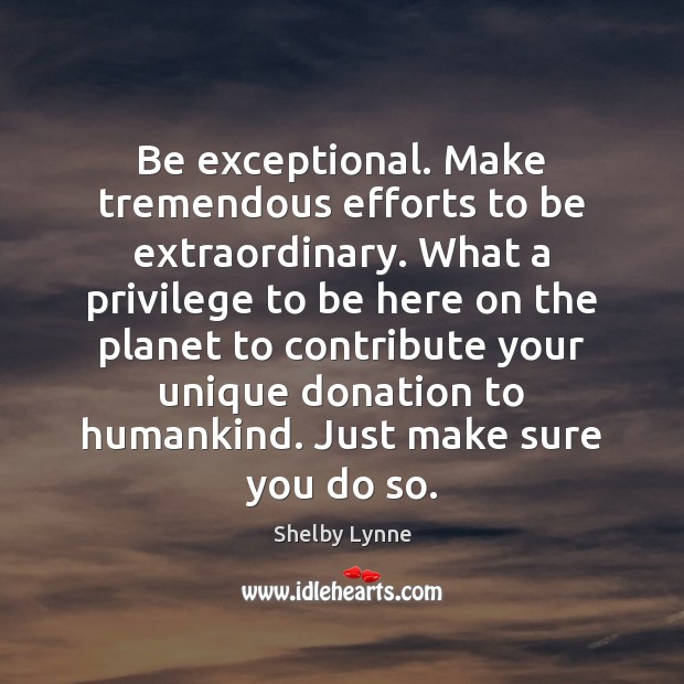 Be exceptional. Make tremendous efforts to be extraordinary. What a privilege to Shelby Lynne Picture Quote
