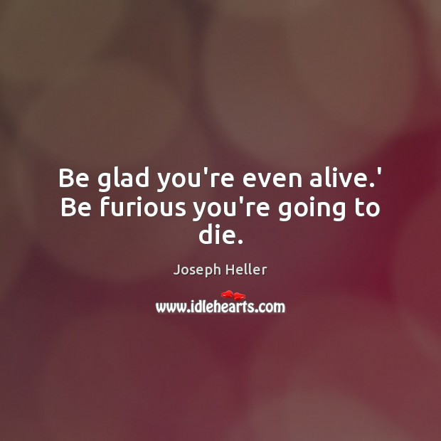 Be glad you’re even alive.’ Be furious you’re going to die. Image