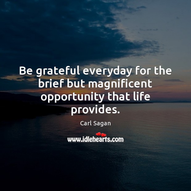 Be grateful everyday for the brief but magnificent opportunity that life provides. Carl Sagan Picture Quote