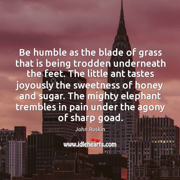 Be humble as the blade of grass that is being trodden underneath the feet. John Ruskin Picture Quote