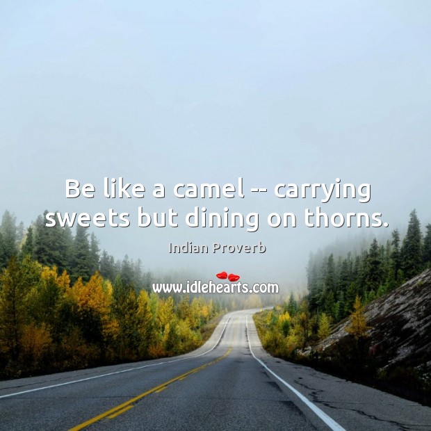 Be like a camel — carrying sweets but dining on thorns. Indian Proverbs Image