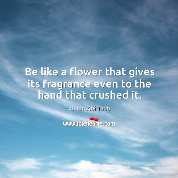 Be like a flower that gives its fragrance even to the hand that crushed it. Ali Ibn Abi Talib Picture Quote
