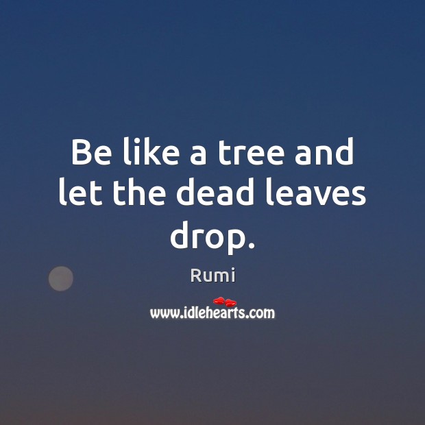Be like a tree and let the dead leaves drop. Image