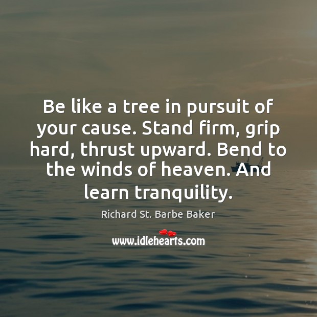 Be like a tree in pursuit of your cause. Stand firm, grip Richard St. Barbe Baker Picture Quote