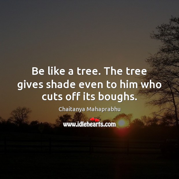 Be like a tree. The tree gives shade even to him who cuts off its boughs. Chaitanya Mahaprabhu Picture Quote