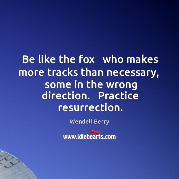 Be like the fox   who makes more tracks than necessary,   some in Wendell Berry Picture Quote