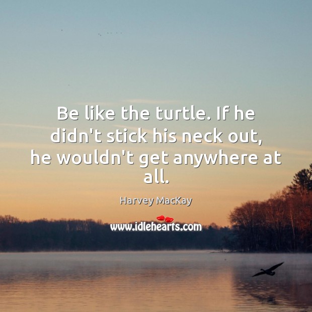 Be like the turtle. If he didn’t stick his neck out, he wouldn’t get anywhere at all. Harvey MacKay Picture Quote